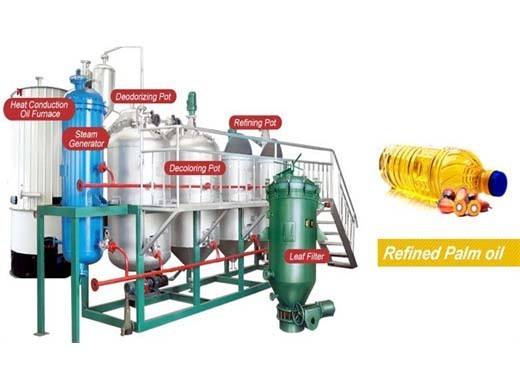 palm oil machine manufacturer with iso bv ce in Lesotho