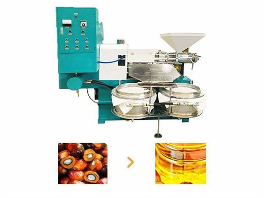palm oil processing machine/palm kernel oil in Cameroon