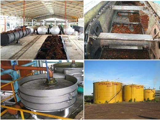 upload stars palm oil extraction process palm oil in Rwanda