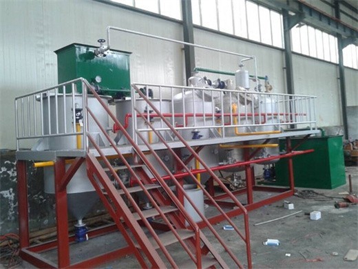 palm oil processing machine/palm kernel oil in Cameroon