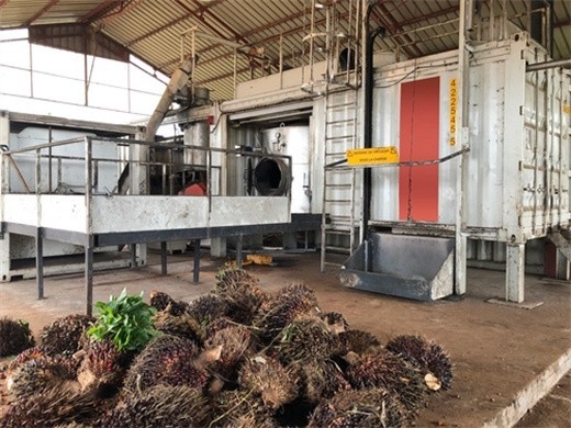upload stars palm oil extraction process palm oil in Rwanda
