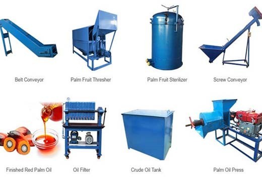 palm oil processing machine/palm kernel oil in Cameroon