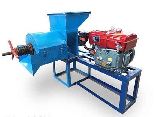 stainless steel palm kernel oil press machine cold hot press in South Africa