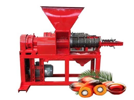 palm fruit oil press palm fruit oil expeller machinery in Durban