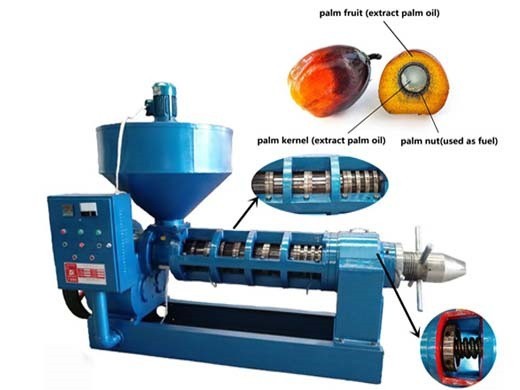 palm fruit oil press palm fruit oil expeller machinery in Durban