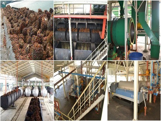 palm fruit oil press palm fruit oil expeller machinery in Durban