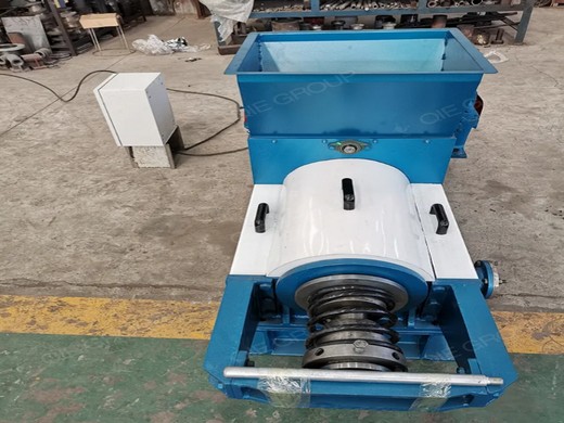 palm fruit oil press palm fruit oil expeller machinery in Durban