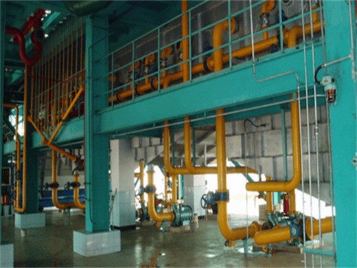 2025 design sunflower oil press machine