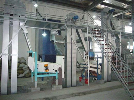 palm oil processing manufacturer and oil mill machinery in Johannesburg