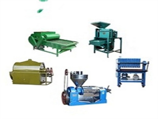 mustard seeds oil extraction/oil press machine