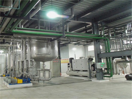 high efficiency cottonseed sheller for cotton seed oil plant in Kenya
