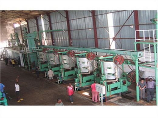 palm kernel oil press machine big oil processing machine hj-p07