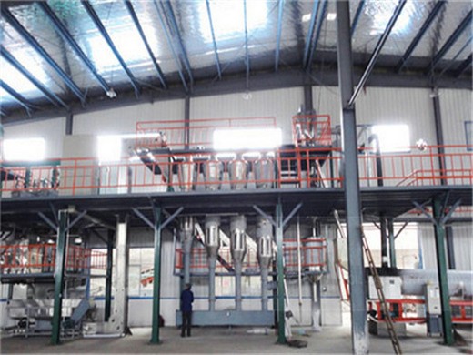 palm oil processing manufacturer and oil mill machinery in Johannesburg