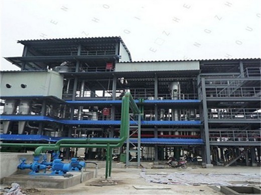 palm oil processing manufacturer and oil mill machinery in Johannesburg