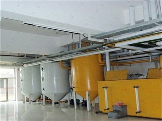 palm oil processing manufacturer and oil mill machinery in Johannesburg