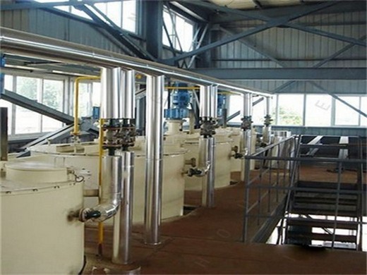 palm oil machine manufacturer with iso bv ce in Lesotho