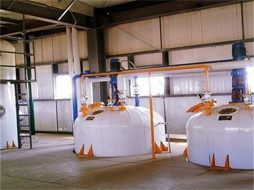 factory supplied big palm kernel oil refinery machine