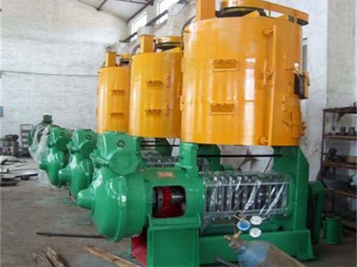 palm oil processing manufacturer and oil mill machinery in Johannesburg