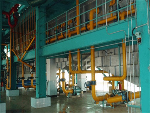 palm oil processing manufacturer and oil mill machinery in Johannesburg