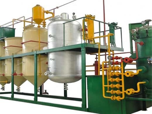 stainless steel palm kernel oil press machine cold hot press in South Africa
